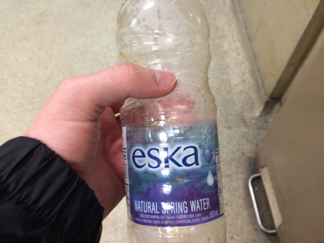 The Bottle