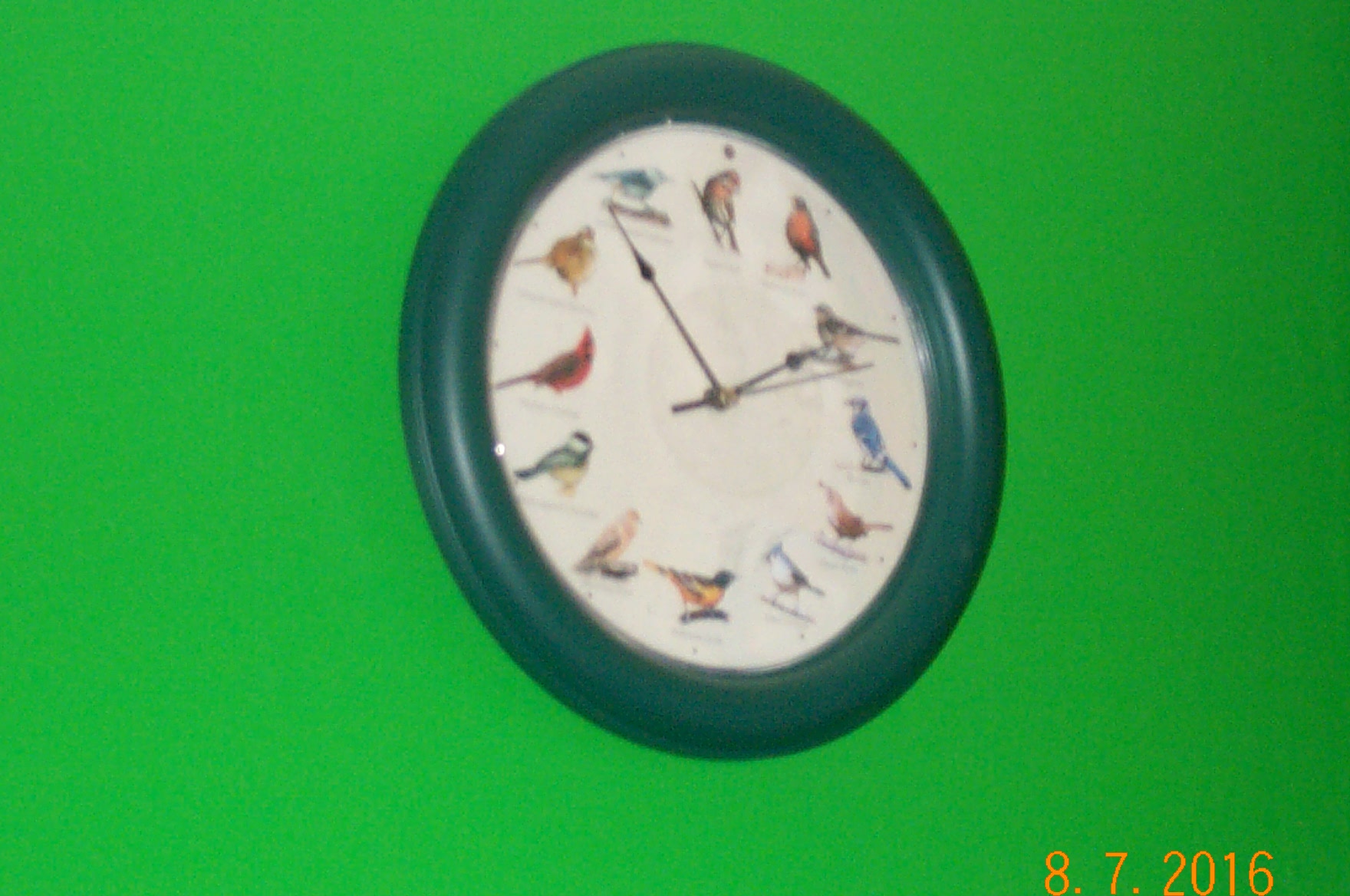 Bird clock