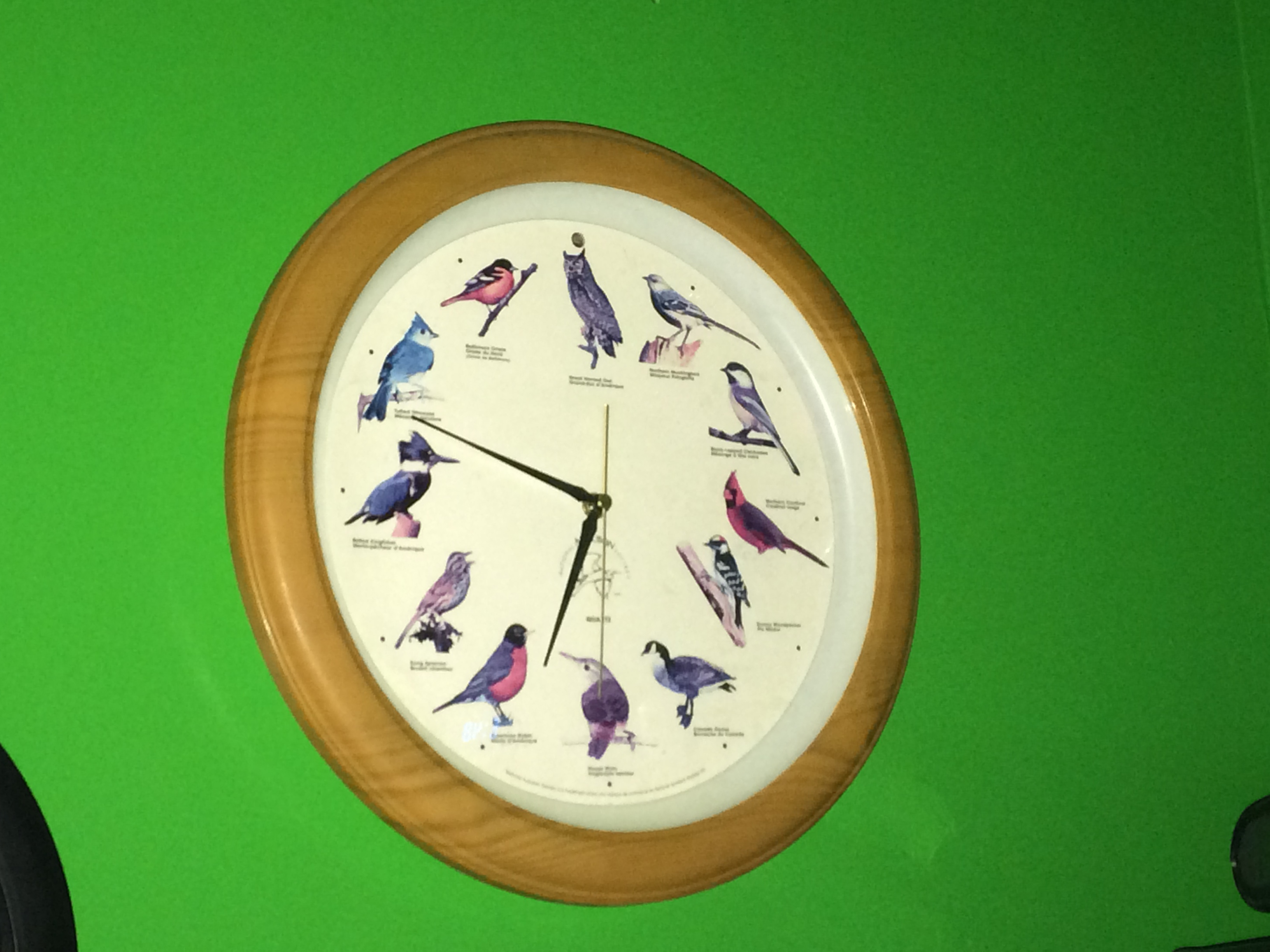 Second bird clock