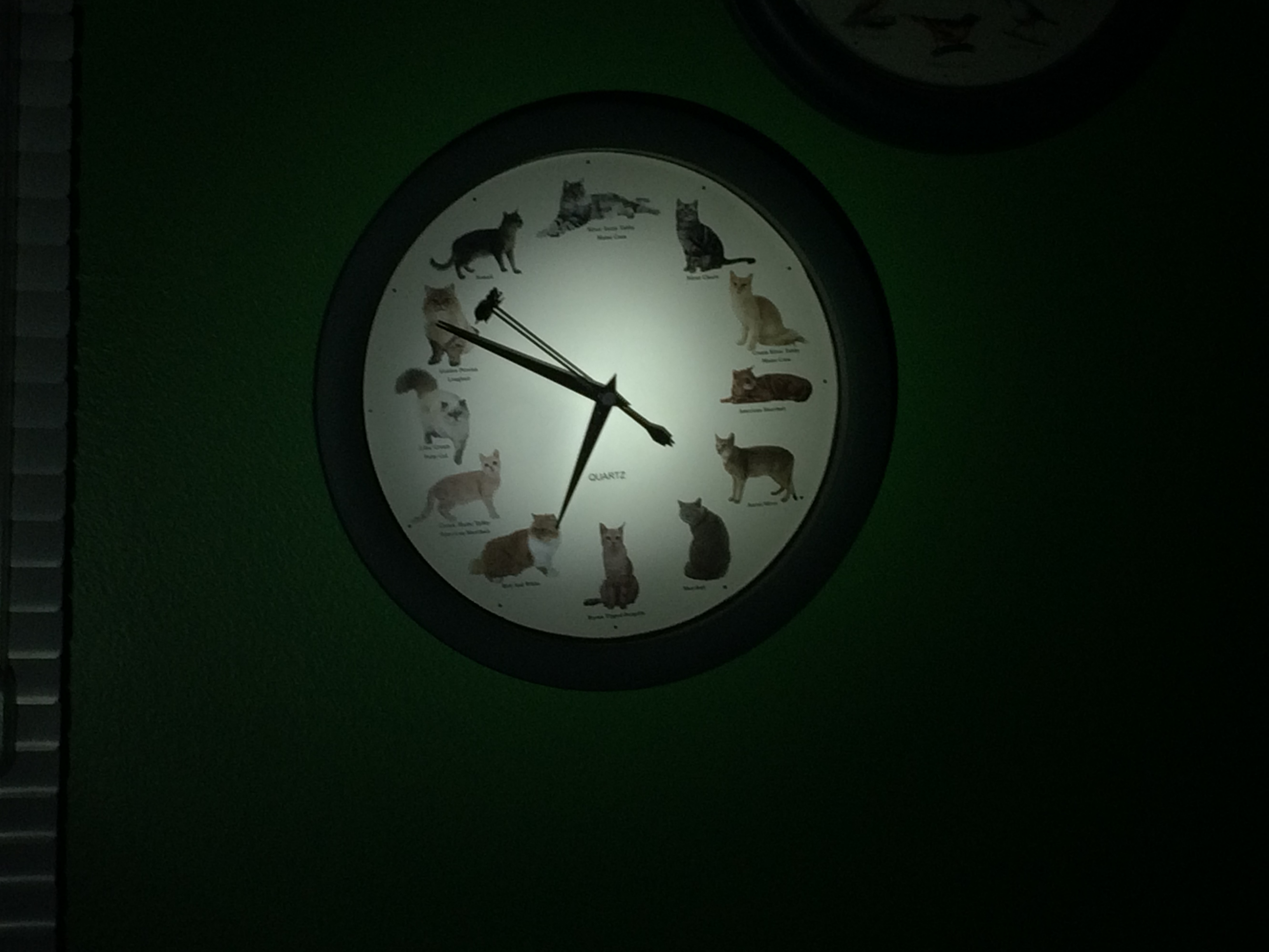Cat clock