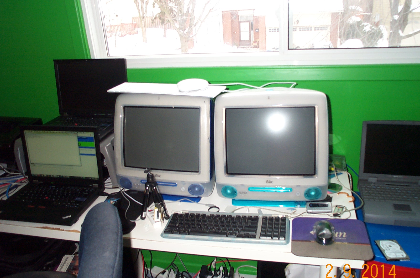 My two iMac G3s The Lab Feb 2014