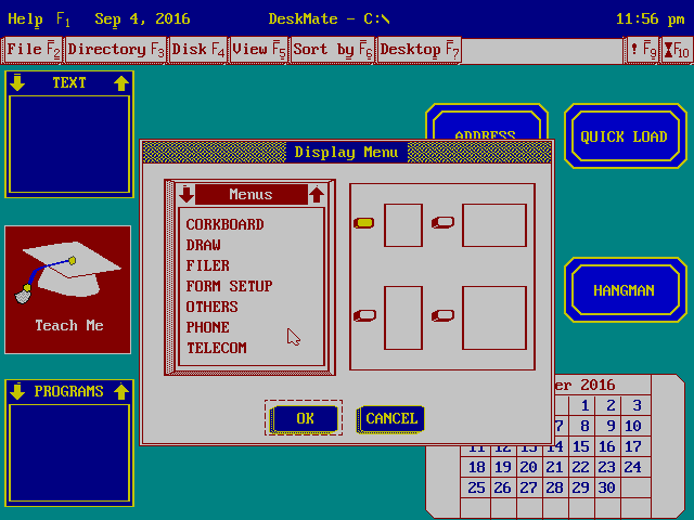 Deskmate 3.69 Display options