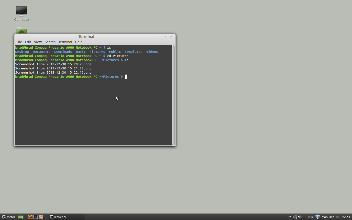 Mint 13 Cinnamon Terminal