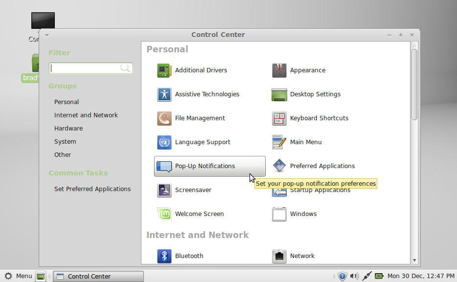 Mint 13 MATE Control