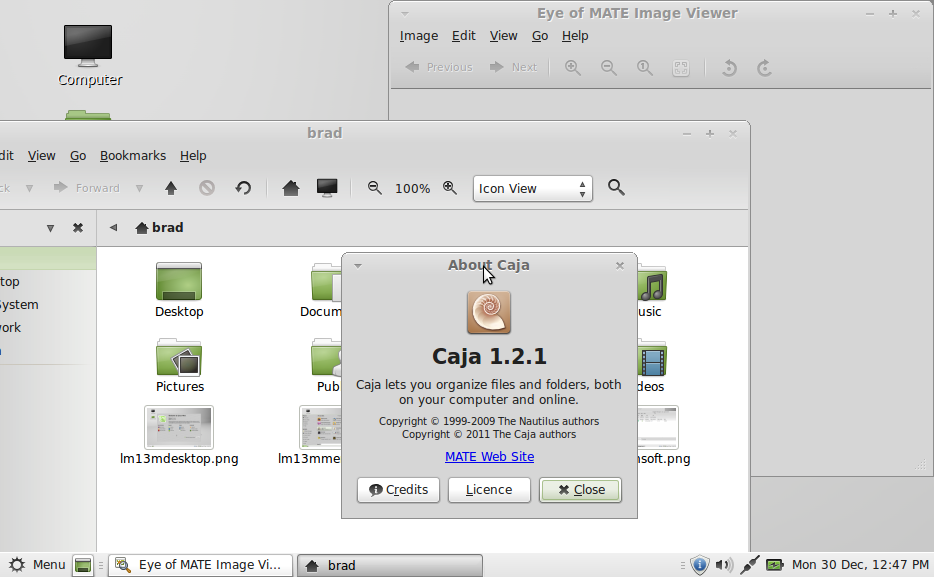 Mint 13 MATE File Management
