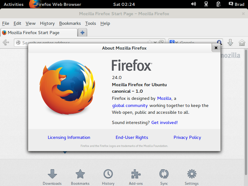 Ubuntu 13.10 Firefox