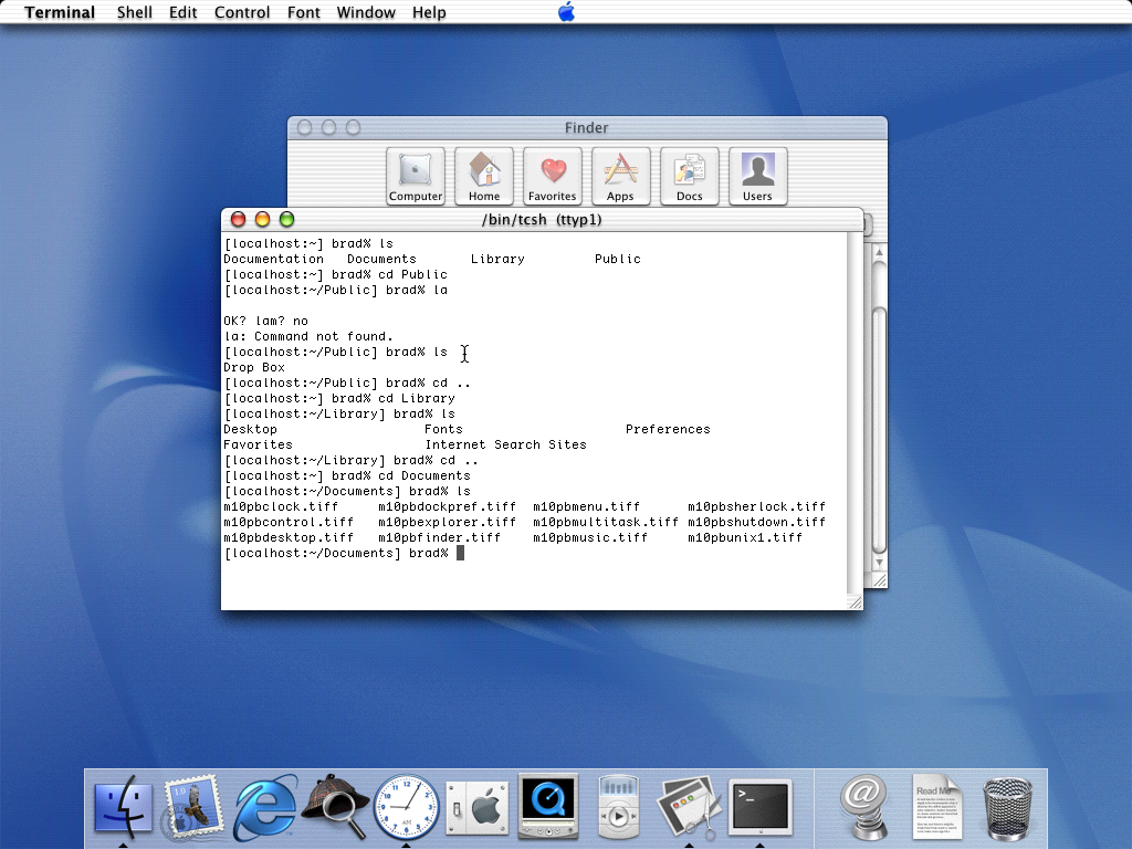 Mac OS X Public Beta Terminal