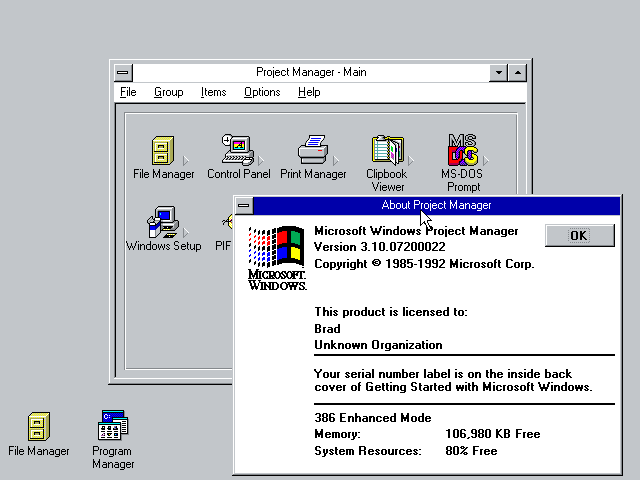 Windows Chicago Project Manager