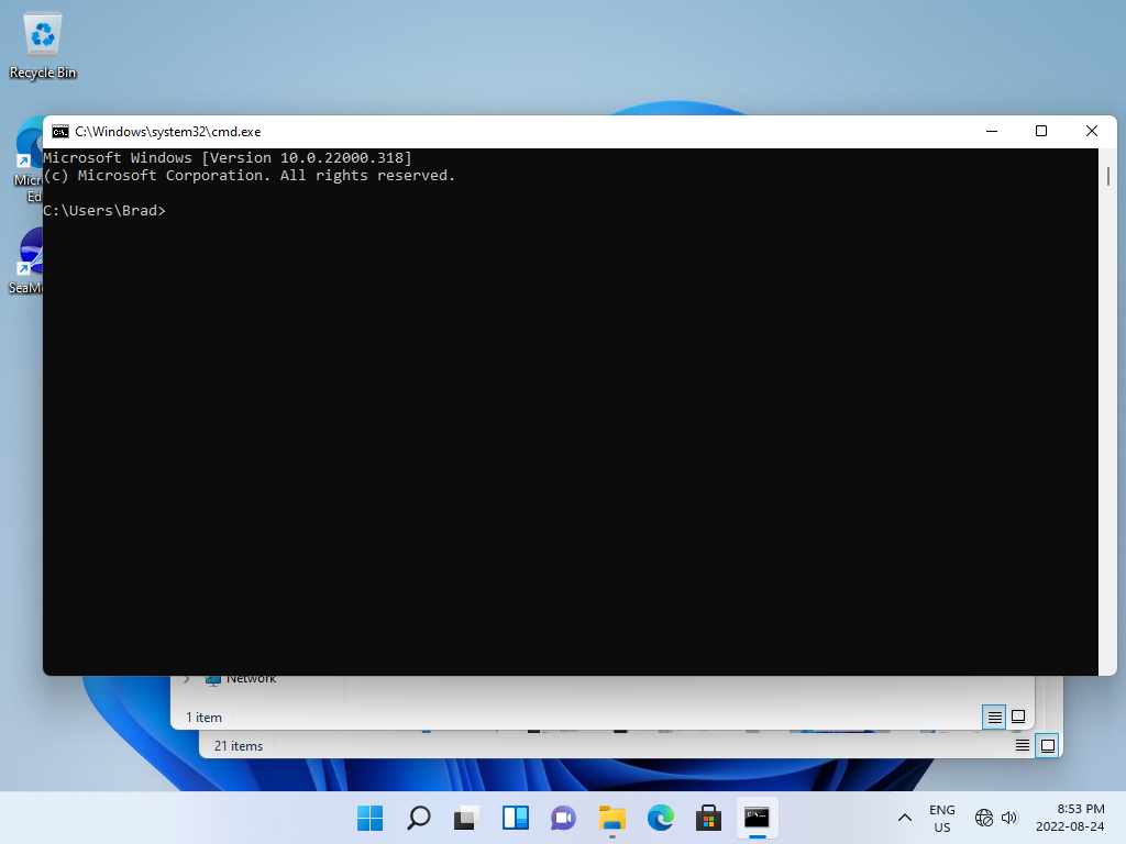 Windows 11 Command Prompt