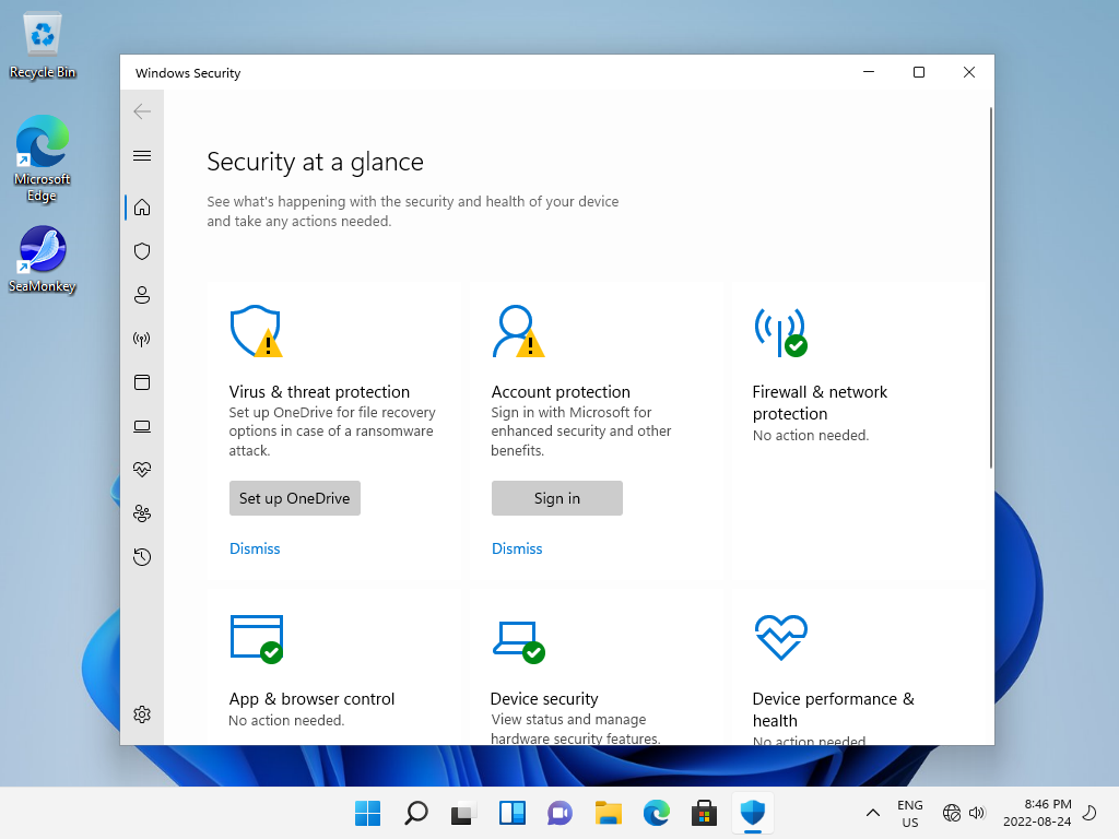 Windows 11 Security