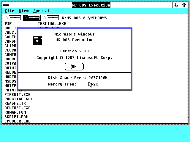Windows 2.03 MS-DOS Executive