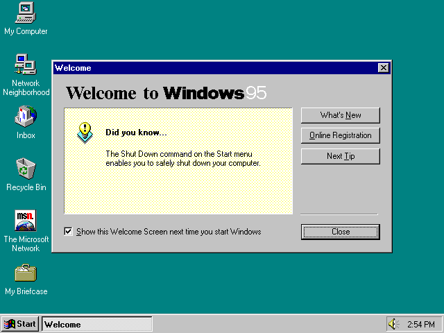 Windows 95 Desktop