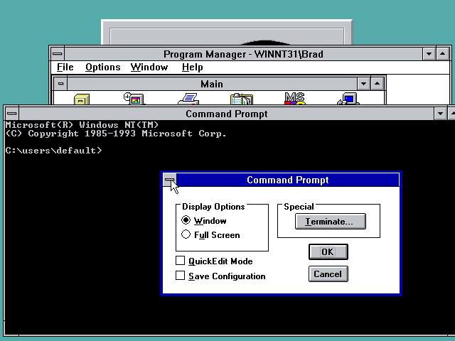 NT 3.1 DOS prompt