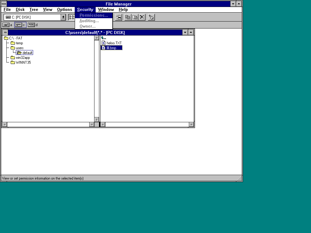 NT 3.51 File Manager