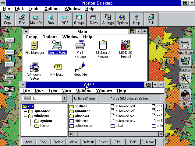 Norton Desktop File Management